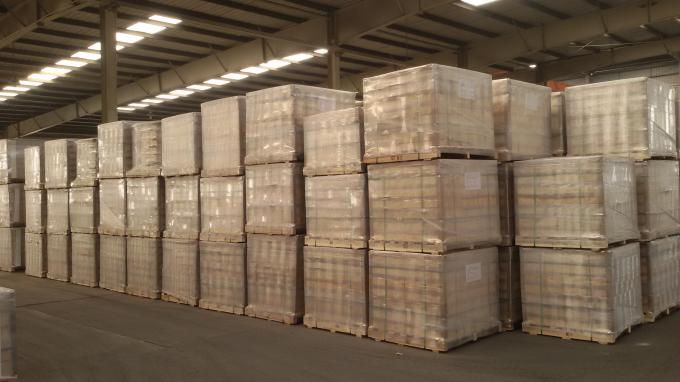 Derretimento de vidro doméstico do OEM 100 Ton End Fired Furnace For 2